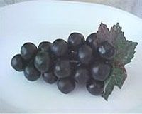 dark-grape อางุ่นดำ ส่วนประกอบสำคัญเอเจล เอ็กซ์โซ Agel EXO